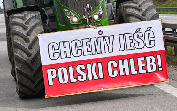 В Польше заблокировали почти 60 тонн агропродукции из Украины