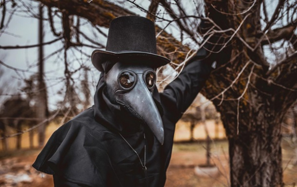 Черная смерть в Европе: ученые объяснили исчезновение растений