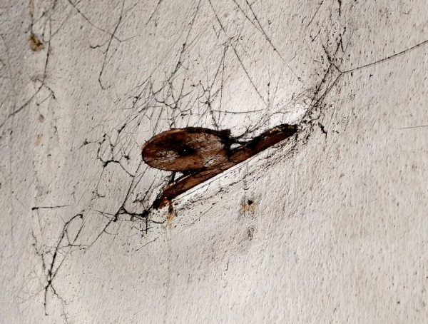 Чадний газ убив двох жінок у приватному будинку в Кілії