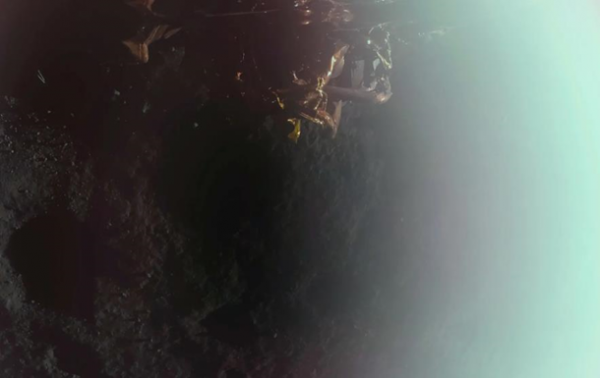 Американський космічний апарат Blue Ghost здійснив посадку на Місяць Американський космічний апарат Blue Ghost здійснив посадку на Місяць