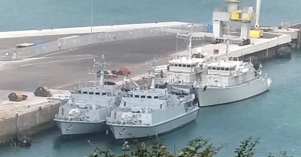 Українські мисливці за мінами можуть вирушити на Близький Схід - що відомо 