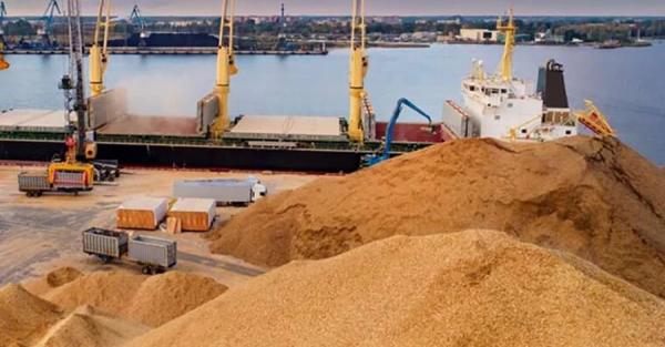 Ізраїльський імпортер відмовився від краденого українського зерна через страх перед санкціями 