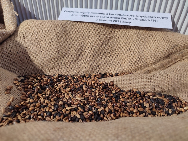 В Ізмаїлі відкрили виставку під назвою &laquo;Війна за Незалежність України&raquo;