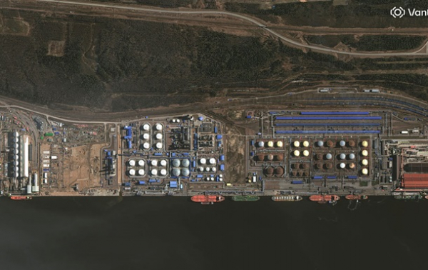 Украинские дроны парализовали экспорт нефти РФ из балтийских портов - СМИ