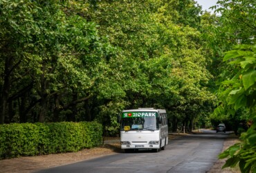 175 маршрутка Одесса