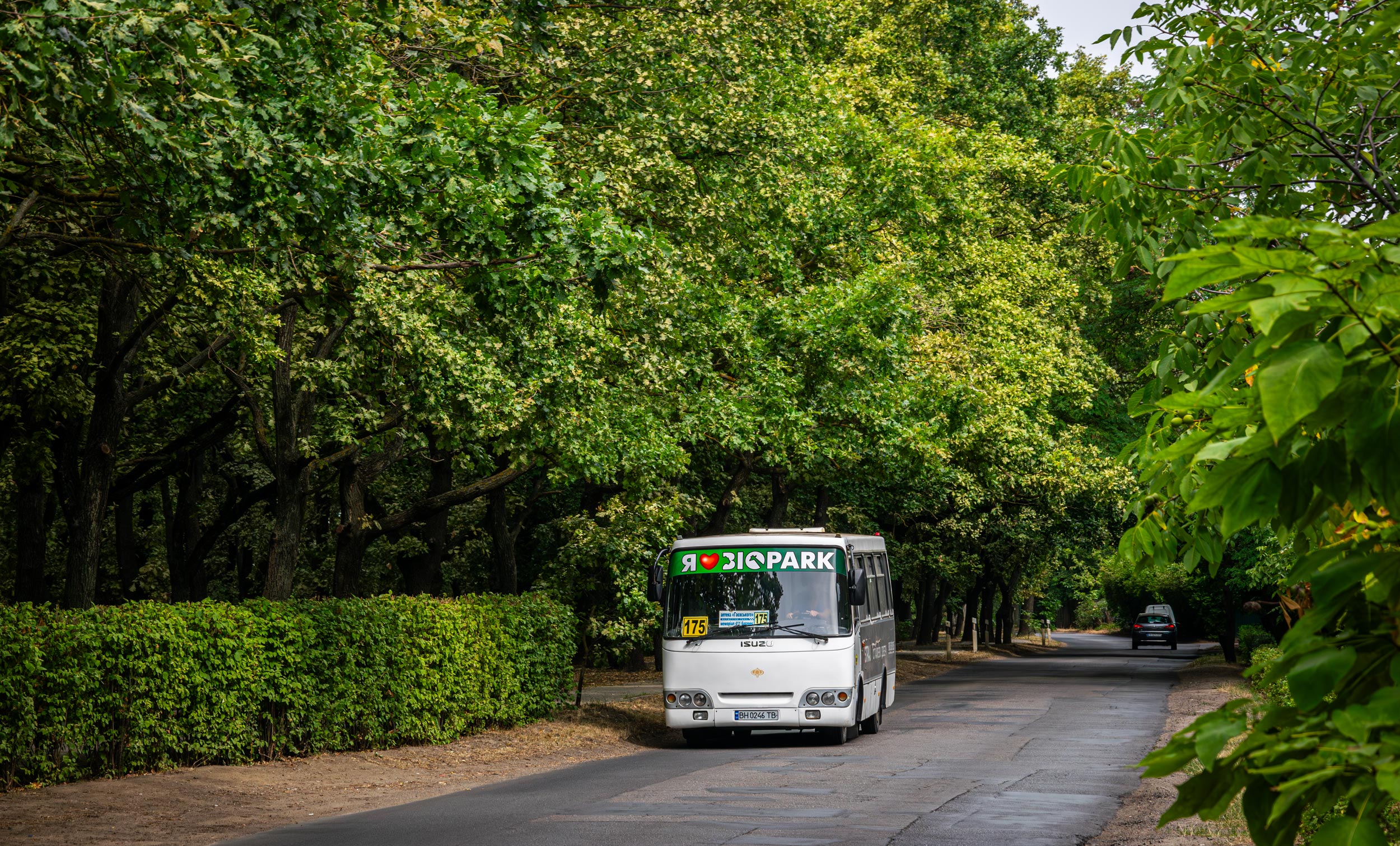 175 маршрутка Одесса