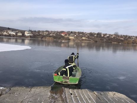 В Одесской области спасли стаю лебедей, примерзших ко льду