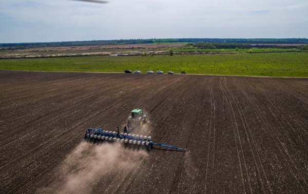 В Украине посеяли ярые зерновые культуры на 100% запланированных площадей