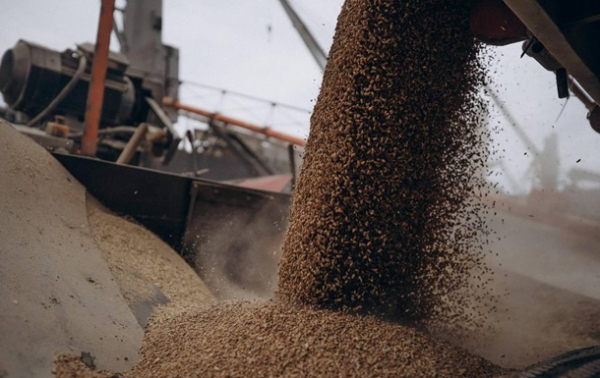 В НБУ назвали потери от прекращения зерновой сделки