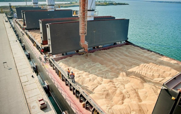 Украинское зерно пошло через порты Хорватии