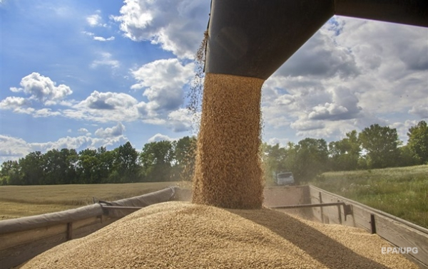 В ЕС жалуются на дешевое зерно из Украины