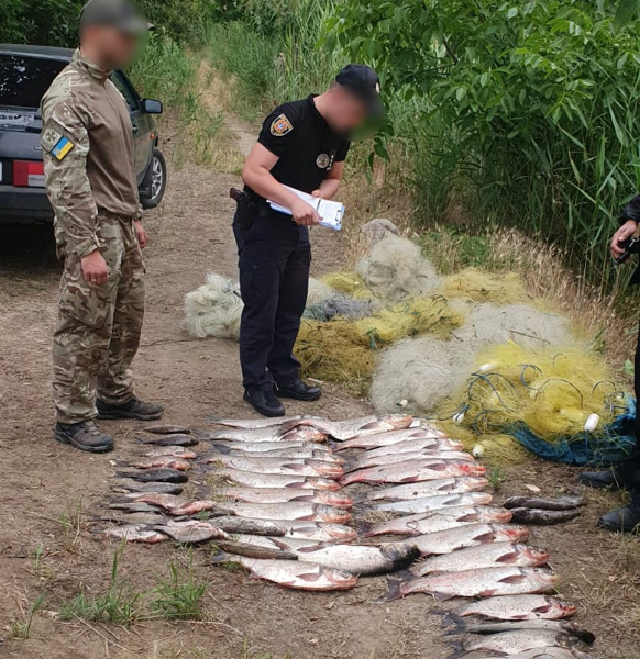 На Дунае на горячем поймали браконьера с уловом стоимостью 150 тысяч гривен
